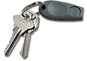 ProxKey II (Pack of 50 Keyfobs)